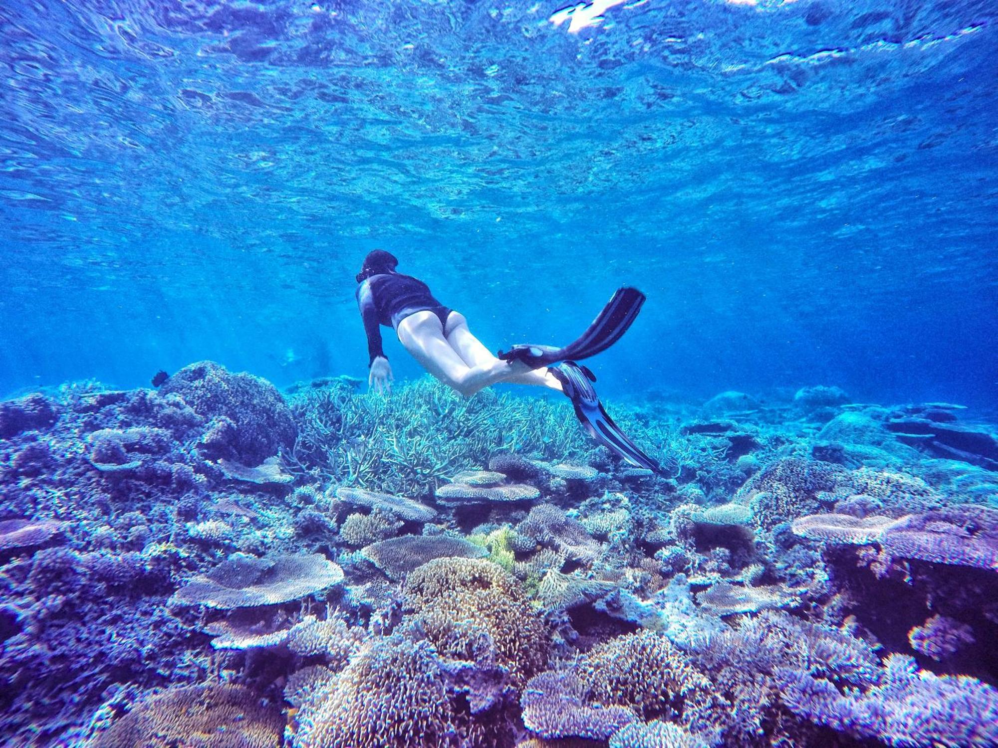 Bolilanga Island Resort - Togean Island Angkayo Exteriér fotografie