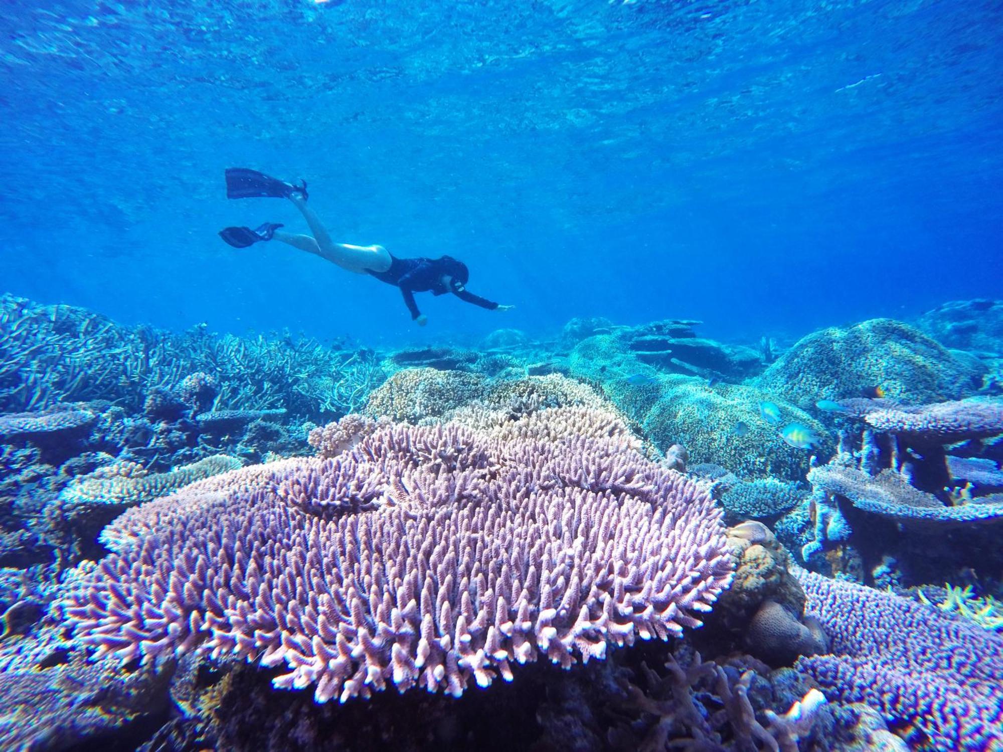 Bolilanga Island Resort - Togean Island Angkayo Exteriér fotografie