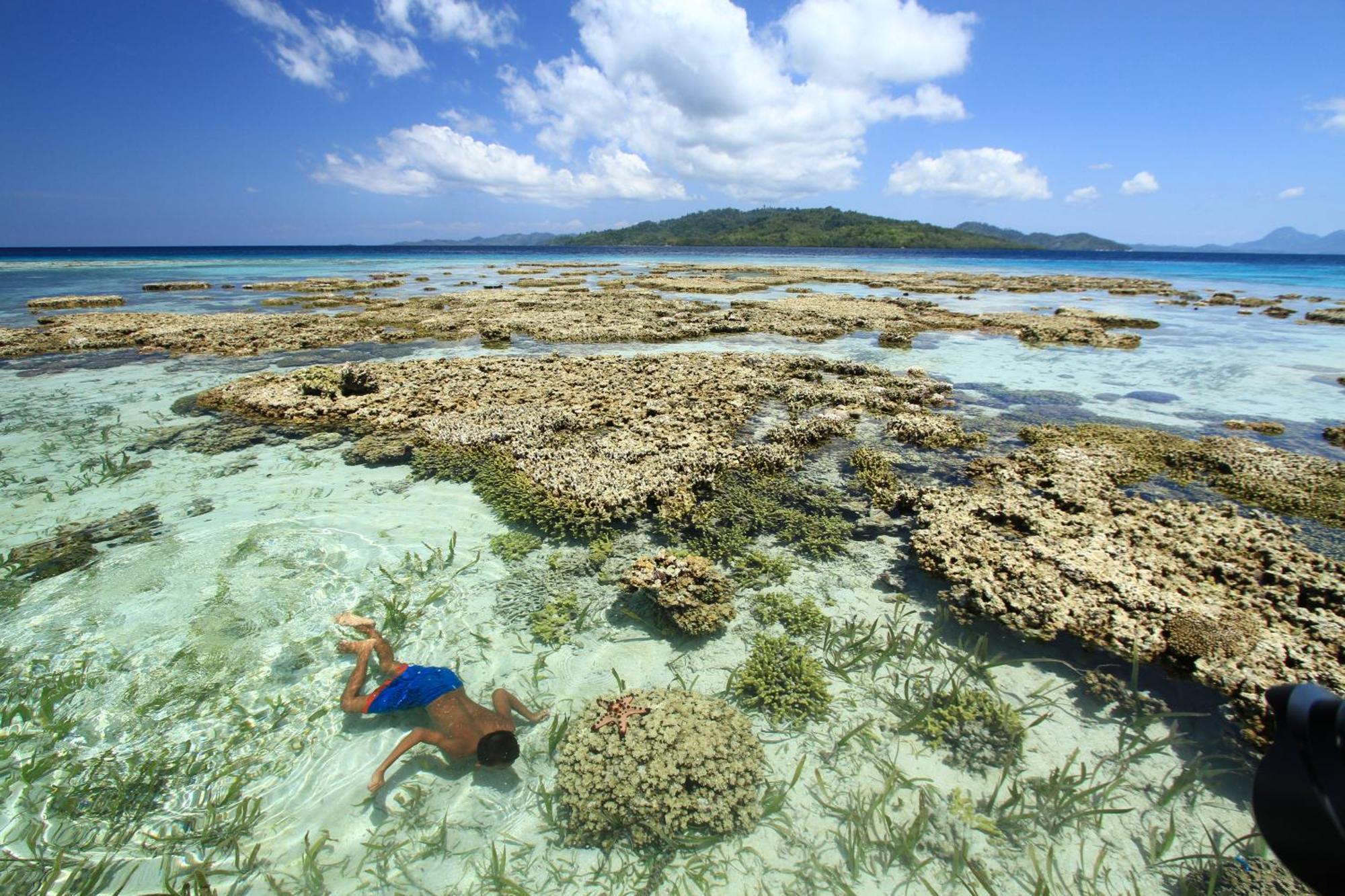 Bolilanga Island Resort - Togean Island Angkayo Exteriér fotografie
