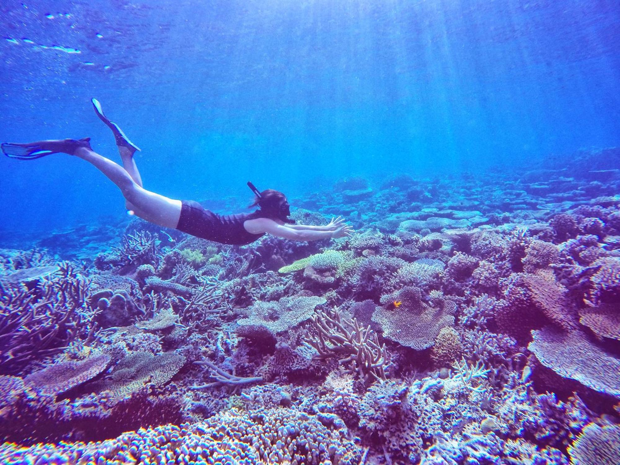 Bolilanga Island Resort - Togean Island Angkayo Exteriér fotografie