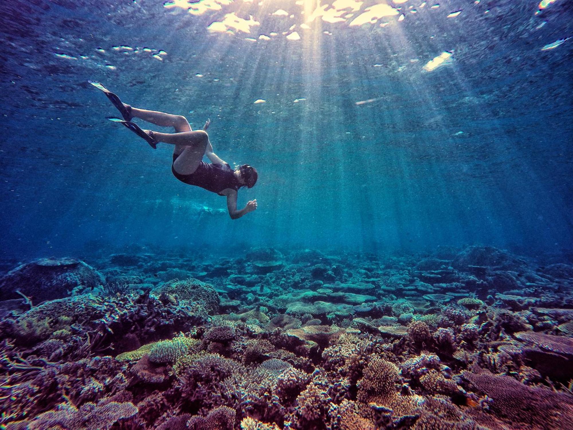 Bolilanga Island Resort - Togean Island Angkayo Exteriér fotografie